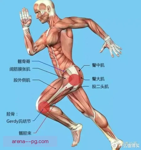 三千米障碍赛髂胫束摩擦防控：跑姿与落地节奏调整